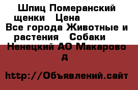 Шпиц Померанский щенки › Цена ­ 25 000 - Все города Животные и растения » Собаки   . Ненецкий АО,Макарово д.